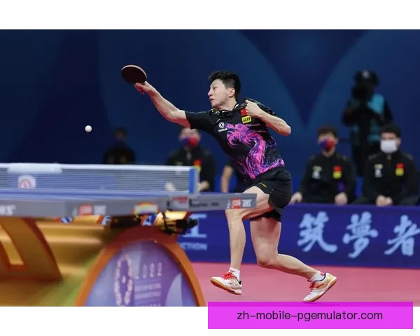 乒乓球公开赛：挑战巅峰，争夺荣耀