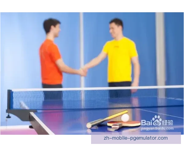 乒乓球比赛规则详解及常见犯规技巧分享